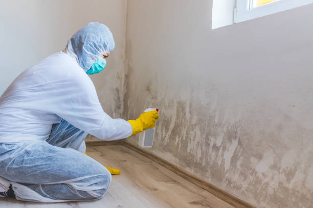 Mold Remediation specialist working in Plymouth Meeting
