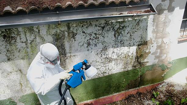 Mold Removal service in Plymouth Meeting